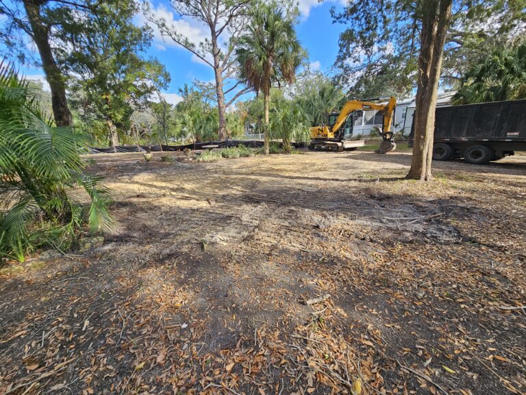 Land Clearing Example