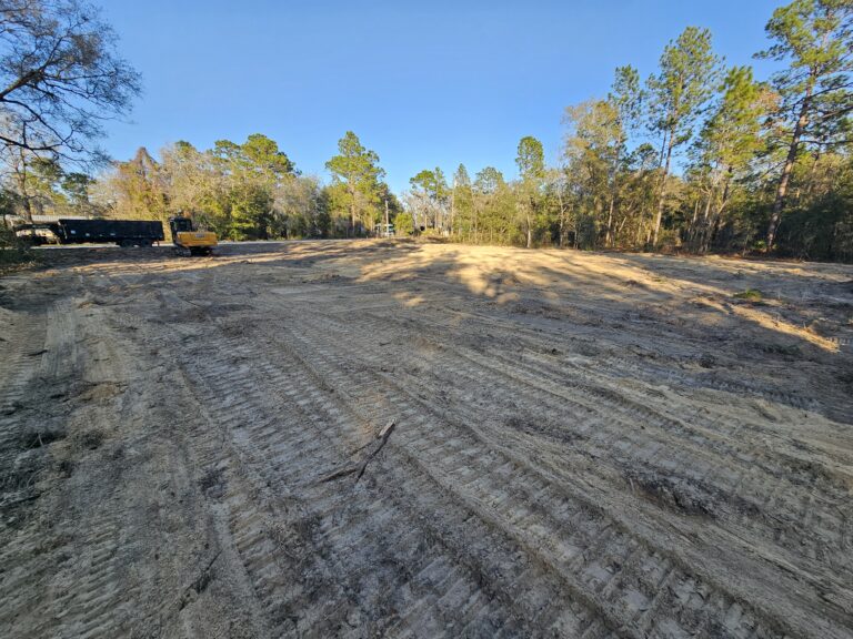 Land Clearing Example