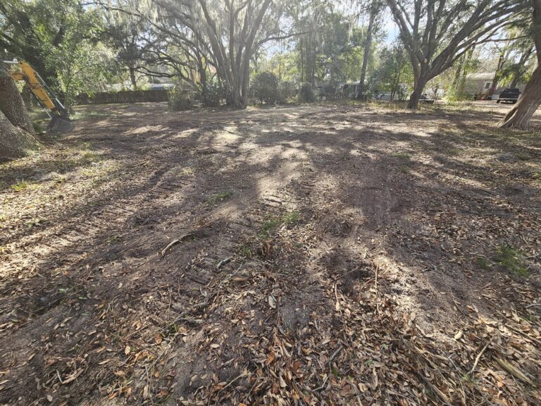 Land Clearing Example